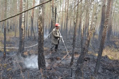Крупный лесной пожар в Ершичском районе, 14.04.2020 - 10