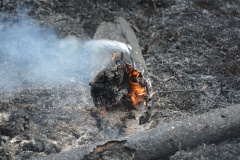 Крупный лесной пожар в Ершичском районе, 14.04.2020 - 8