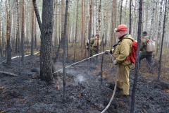 Крупный лесной пожар в Ершичском районе, 14.04.2020 - 7