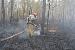 Крупный лесной пожар в Ершичском районе, 14.04.2020 - 5