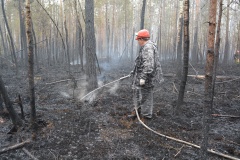 Крупный лесной пожар в Ершичском районе, 14.04.2020 - 6