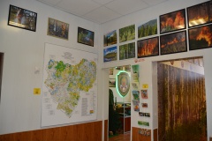 Лесопожарная экспозиция,открытая в честь 10-летия образования Лесопожарной службы Смоленской области - 17