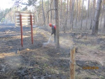Лесные пожары 2018 - 26