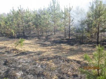 Лесные пожары 2018 - 32