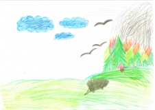 Конкурс детского рисунка "Защитим лес от огня" - 5