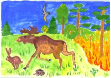Конкурс детского рисунка "Защитим лес от огня" - 6