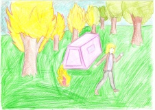 Конкурс детского рисунка "Защитим лес от огня" - 9