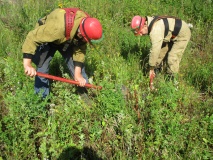 Профессиональная подготовка лесных пожарных и РТП 2019 - 4