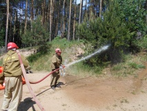 Пожарно-тактические занятия Лесопожарной службы, 2018г - 9