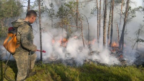 Лесные пожары 2015 - 9