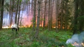 Лесные пожары 2015 - 10