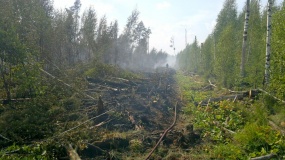 Лесные пожары 2015 - 11