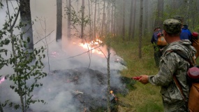 Лесные пожары 2015 - 13