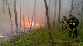 Лесные пожары 2015 - 21