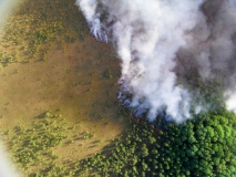 Лесные пожары 2015 - 22