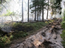 Лесные пожары 2021г - 25