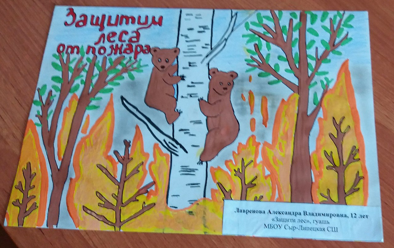 Рисунок на тему Защитим лес