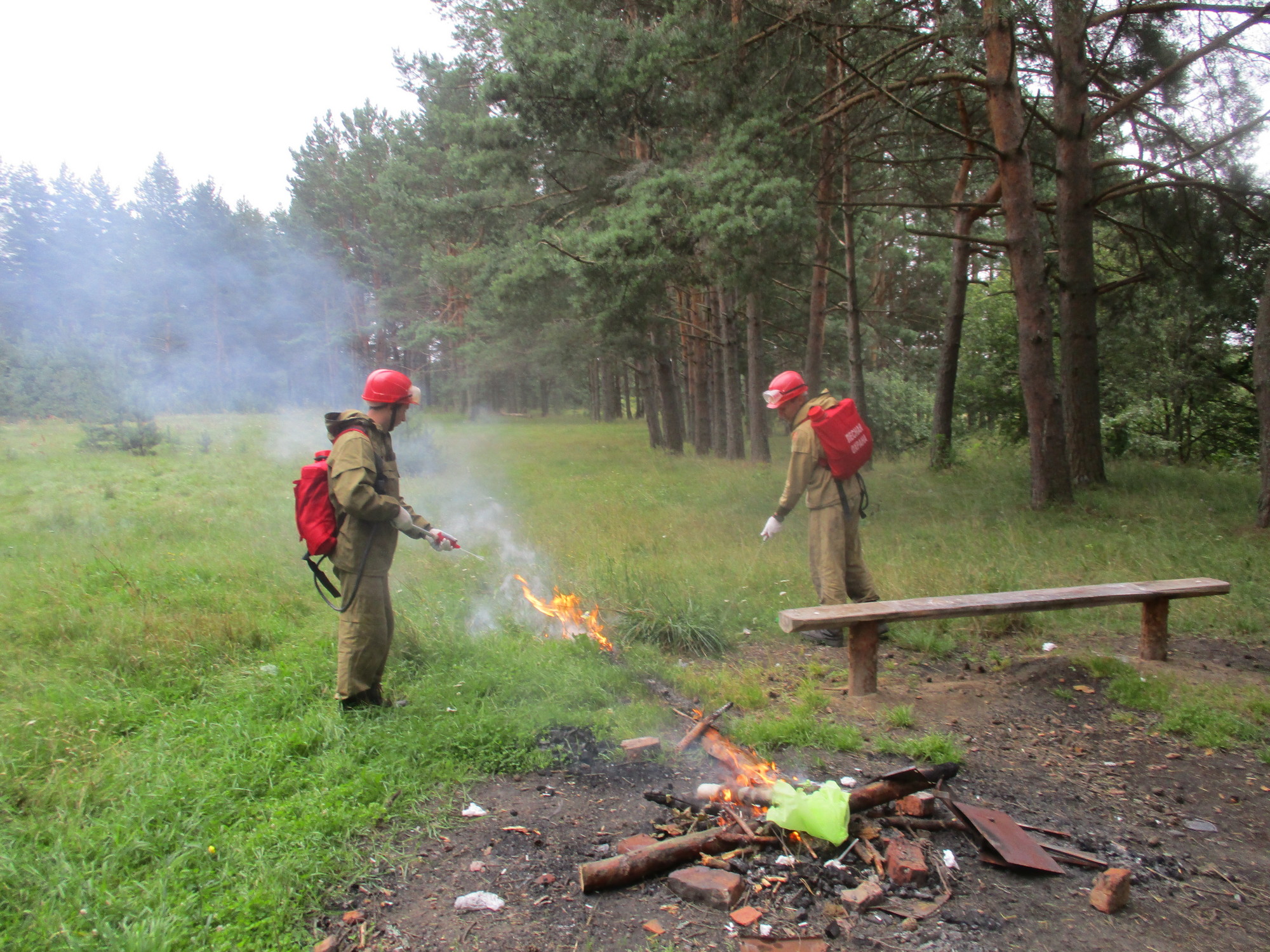 Противопожарные мероприятия населенных пунктов. Лесные пожары. Предотвращение пожара в лесу. Профилактика лесных пожаров. Пожарная безопасность в лесу.