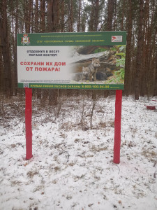 2-profilaktika-1