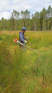 img-20240717-wa0019