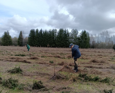 img_20260407_111758_489