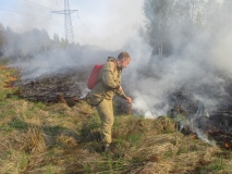 лесные пожарные предупреждают лесные пожары - фото - 1