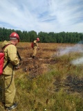 патрулирование лесов способствует предупреждению лесных пожаров - фото - 1