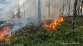 20 сентября закрыт пожароопасный сезон в лесах. Анализ пожароопасного сезона 2021года - фото - 1