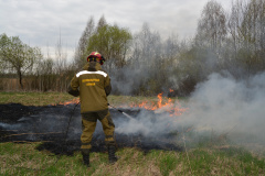 лесопожарная служба патрулирует леса - фото - 1