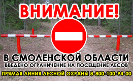 на территории Смоленской области действует ограничение посещения лесов - фото - 1