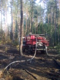 лесной пожар в Ершичском лесничестве - фото - 2