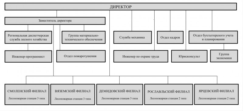 struktura-uchrezhdeniya1