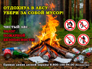 чистый лес – безопасный лес - фото - 1