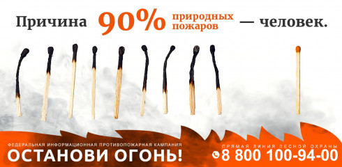 причина 90% природных пожаров - человек - фото - 1