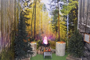 доступные знания о лесной безопасности - фото - 1