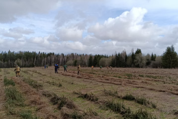 начало весенних лесокультурных работ на лесопитомнике - фото - 1