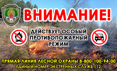 в Смоленском муниципальном округе введен особый противопожарный режим - фото - 1