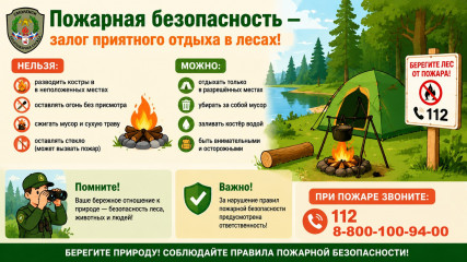 правила пожарной безопасности в лесах - фото - 1