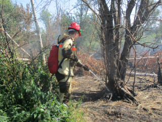 демидовские лесные пожарные обнаружили еще один горящий торфяник - фото - 1