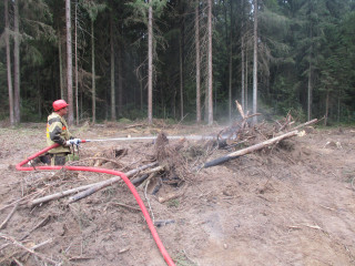 в Сафоновском районе произошел лесной пожар - фото - 1