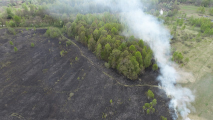 лесные огнеборцы спасли лес от угрозы пожара - фото - 1