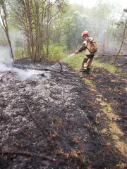 лесные пожарные спасли кладбище от огня - фото - 1