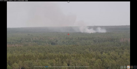 лесной пожар зарегистрирован в Ершичском районе - фото - 1