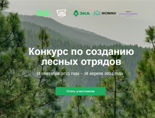 конкурс по созданию лесных отрядов - фото - 1