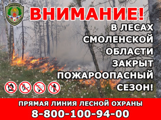 в Смоленской области закрыт пожароопасный сезон - фото - 1