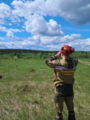 контроль за лесопожарной обстановкой - фото - 1