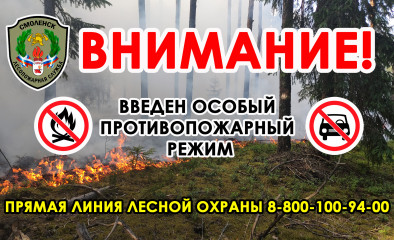 особый противопожарный режим действует в нескольких районах Смоленщины - фото - 1