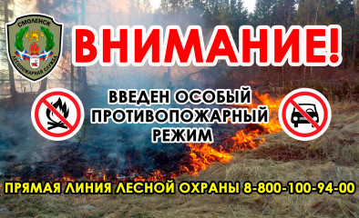 в каких районах Смоленской области действует особый противопожарный режим - фото - 1