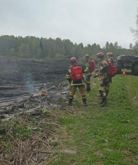 в Смоленской области зарегистрировано два лесных пожара - фото - 1