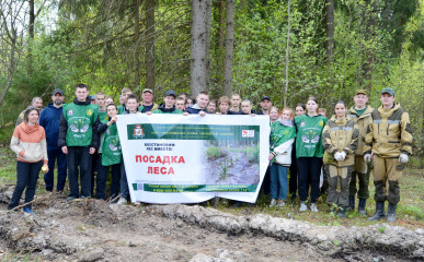 в Краснинском районе высадили новый лес - фото - 1